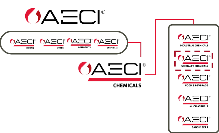 AECI Group Structure - AECI Chemicals